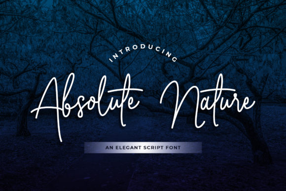 Absolute Nature: A Designer’s Real-World Font Review