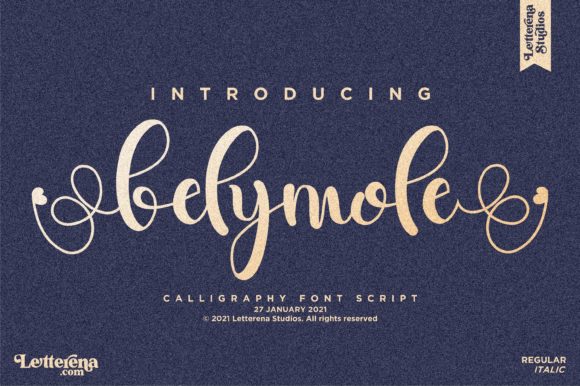 Belymole: A Designer’s Take on Its Real-World Use