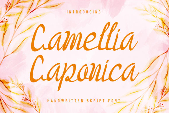 Camellia Caponica: A Designer’s Real-World Review for Branding and Visual Projects
