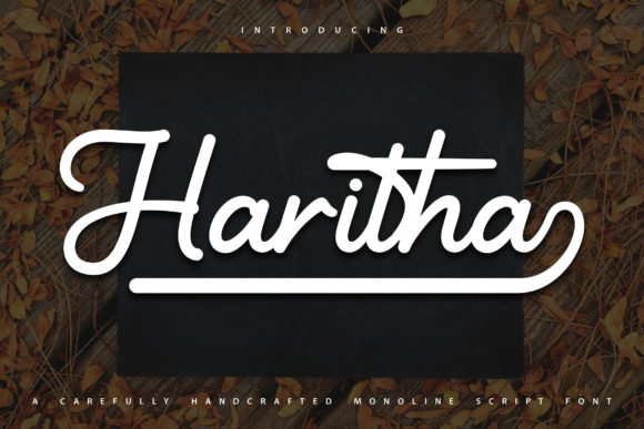 Haritha: A Designer's Review for Real Projects