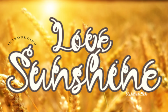 Love Sunshine: A Designer's Real-World Review