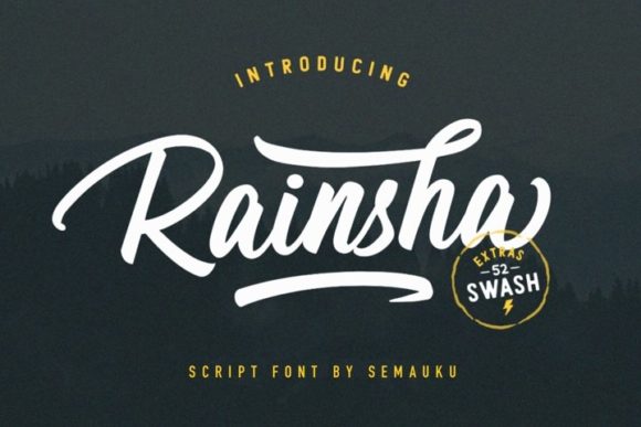 Rainsha: A Bold Handwritten Font for Your Brand