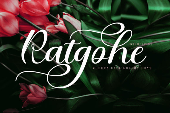 Ratgohe: A Whimsical Script Font for Modern Web Design