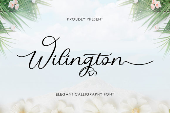 Wilington: A Designer's Real-World Review